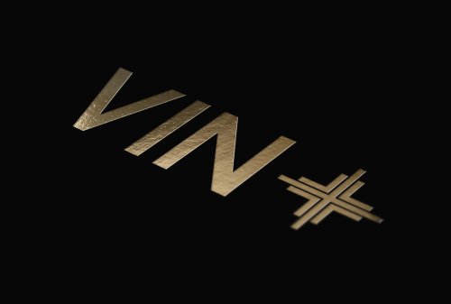 vin+-logo
